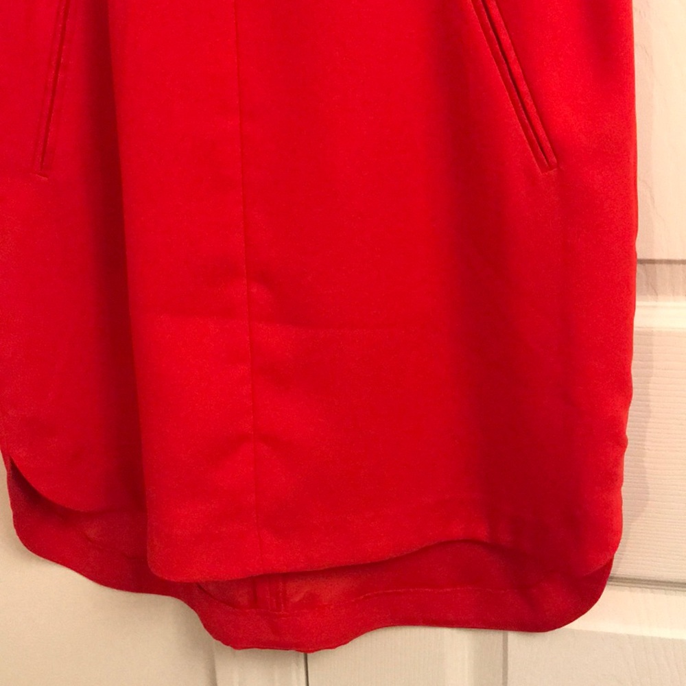 Red Shift Dress - Picture 5 of 6